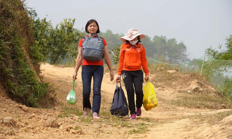Du khách cũng có thể mua cam về làm quà.