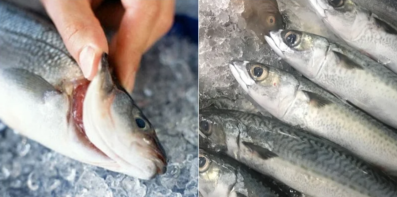 Độc đáo với món Cá kho mít non