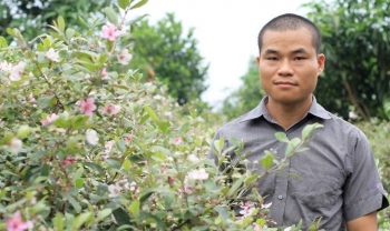 Bỏ phố, cử nhân về quê trồng cây dại kiếm 4 tỷ đồng/năm, làm giàu quả không khó