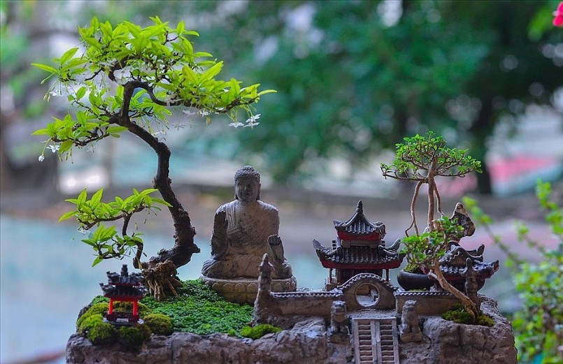 Tác phẩm của anh Huy được nhiều người khen ngợi.