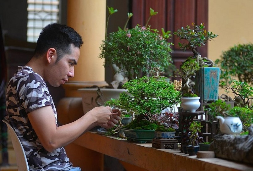 Anh Mạnh Huy có tình yêu mãnh liệt đối với cây cảnh nghệ thuật.