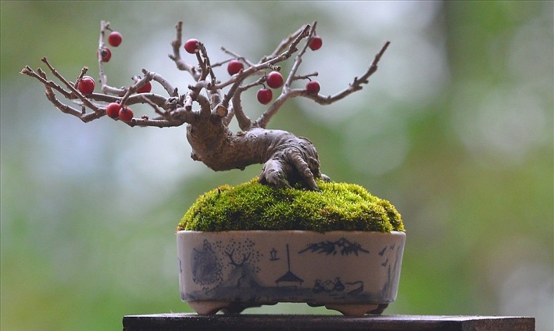 Những tác phẩm độc đáo của anh Huy.