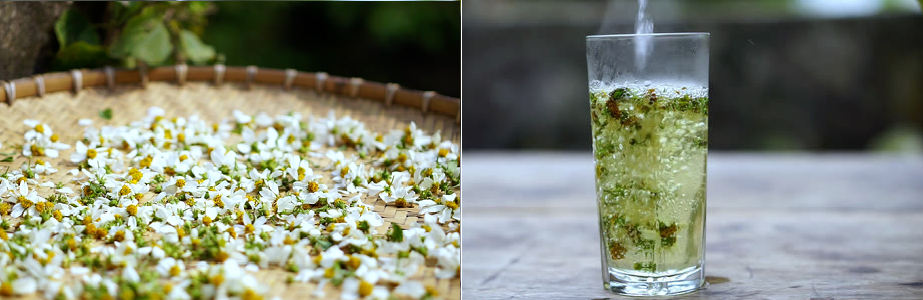 Loài cây đến bò không buồn gặm, không ngờ thành đặc sản ngon nức tiếng