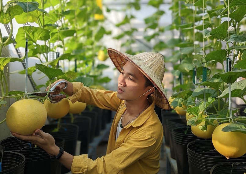 Là một kiến trúc sư, nhưng anh Nguyễn Đức Trí có niềm đam mê làm vườn.