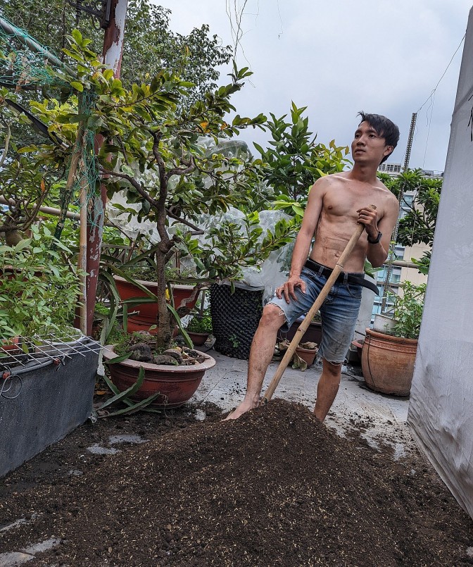 Tận dụng thời gian rảnh rỗi để tạo khu vườn rau quả trên sân thượng.