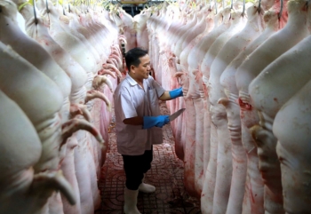 Giá heo hơi giảm sâu, sao giá heo móc hàm vẫn ở mức rất cao?