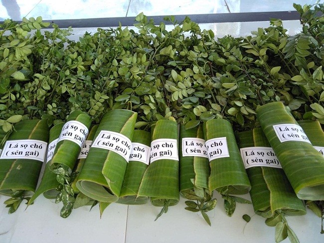 giá bán lá tươi khoảng 350.000 đồng/kg