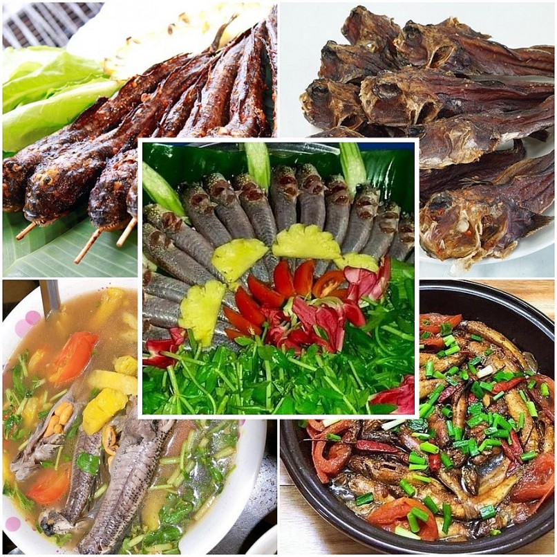 Loài cá biết leo cây, chạy nhảy được xếp hạng đặc sản kỳ lạ nhất hành tinh