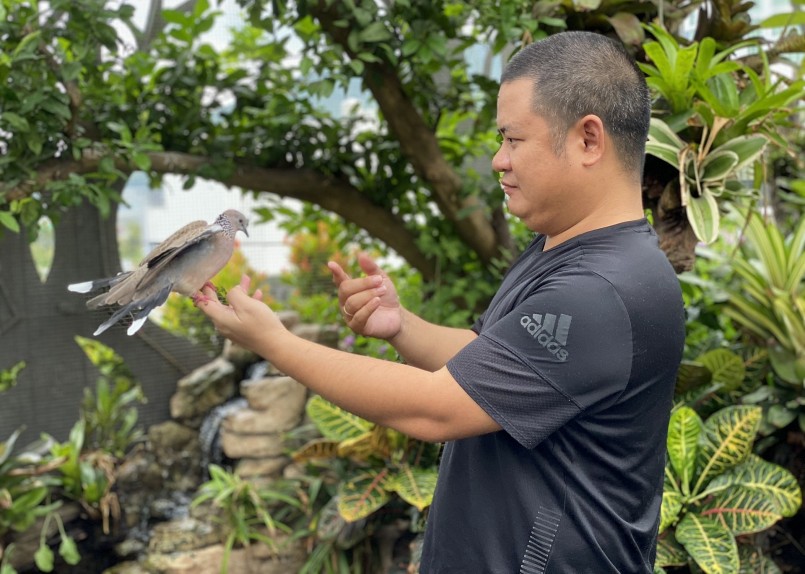 Anh Huyền Anh rất tâm đắc về khu vườn và những chú chim quý của mình. 