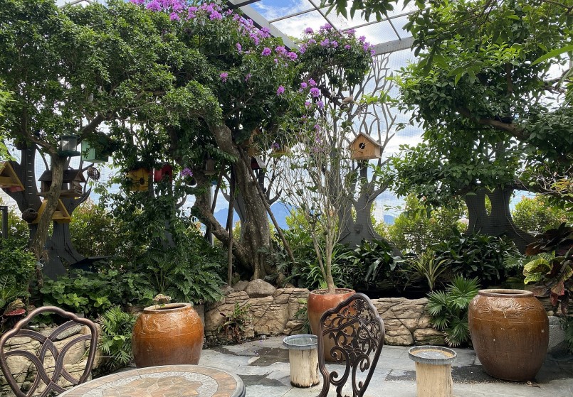 Một góc trên sân thượng của anh Huyền Anh.