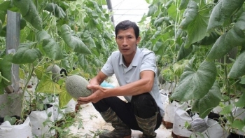 Làm trang trại đụng vào đâu cũng ra tiền, mỗi năm thu tiền tỷ và tiết kiệm 40% chi phí