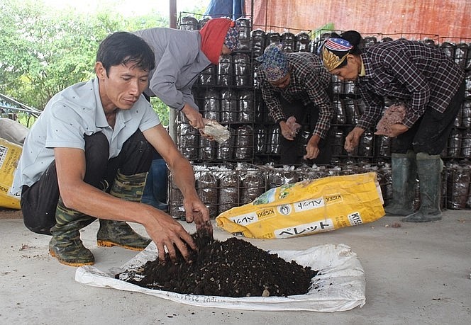Bã nấm được anh tận dụng, bổ sung thêm phân bón hữu cơ, men vi sinh ngâm ủ để bón cho dưa lưới, ổi, táo. Ảnh: Trung Quân.
