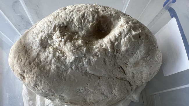 Mặt ngoài của vật này khá lồi lõm, bên ngoài màu trắng xám còn trong hồng nhạt Mặt ngoài của vật này khá lồi lõm, bên ngoài màu trắng xám còn trong hồng nhạt