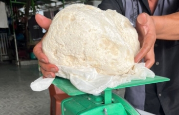 Ngư dân Thừa Thiên Huế vớt được vật nghi “trầm hương của biển khơi”, giá lên đến cả tỷ đồng