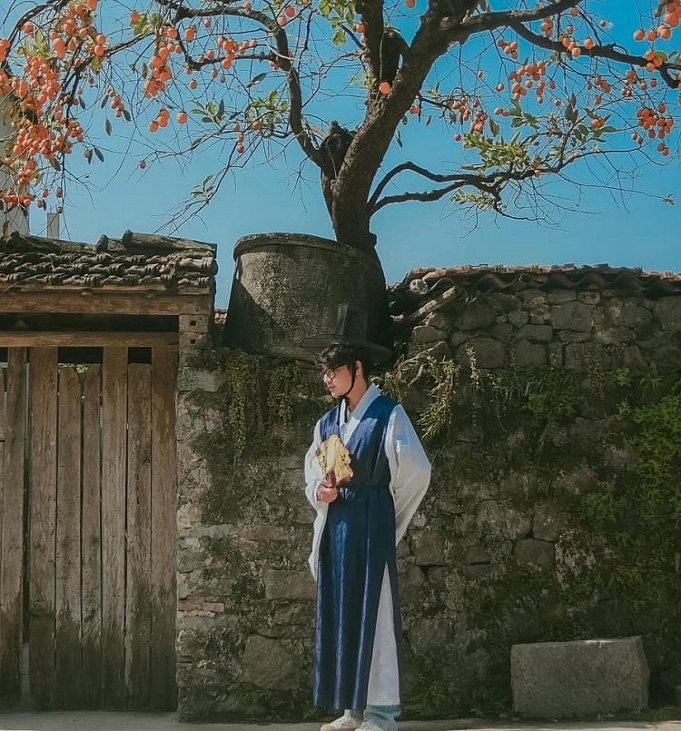 Vẻ đẹp yên bình nhuốm màu cổ trang do cây hồng cổ tạo ra.