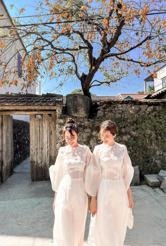 Cây hồng cổ 200 năm tuổi ở Ninh Bình gây sốt với những khuôn hình đẹp.