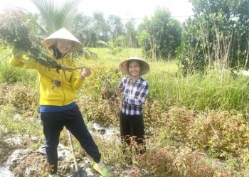 Hồi sinh vùng đất phèn từ 2kg hạt giống, hai cô gái trẻ có doanh thu nửa tỷ đồng mỗi tháng
