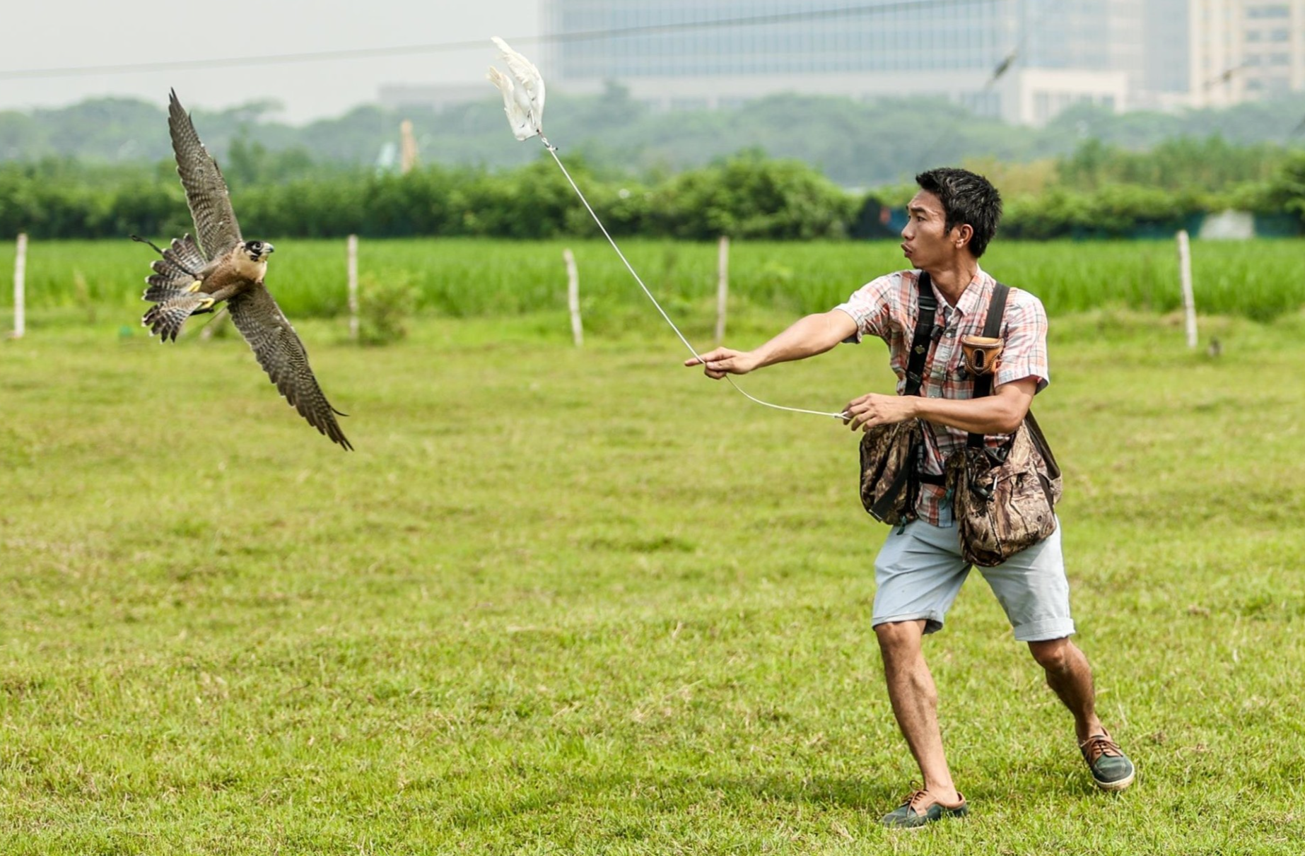 Anh Trần Huy Hoàng (SN 1987, ở quận Tây Hồ, Hà Nội) tham gia sân chơi huấn luyện chim săn mồi 