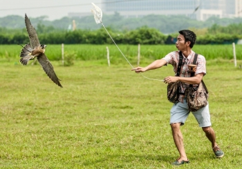 Loài vật dự báo trận mở màn World Cup 2022 có gì đặc biệt mà thành thú chơi của giới trẻ