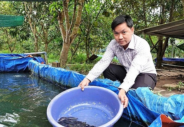 Trang trại nuôi cá của anh cho thu nhập 600 triệu đồng/năm 