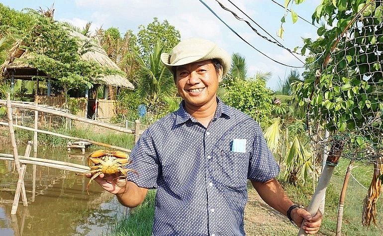 Mô hình nuôi cua biển độc lạ của anh Bi