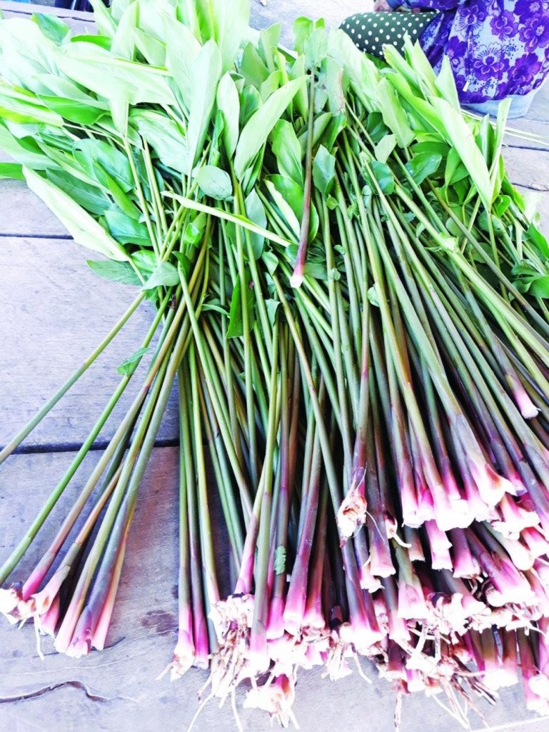 Người Thái gọi măng riềng là “nó khá”