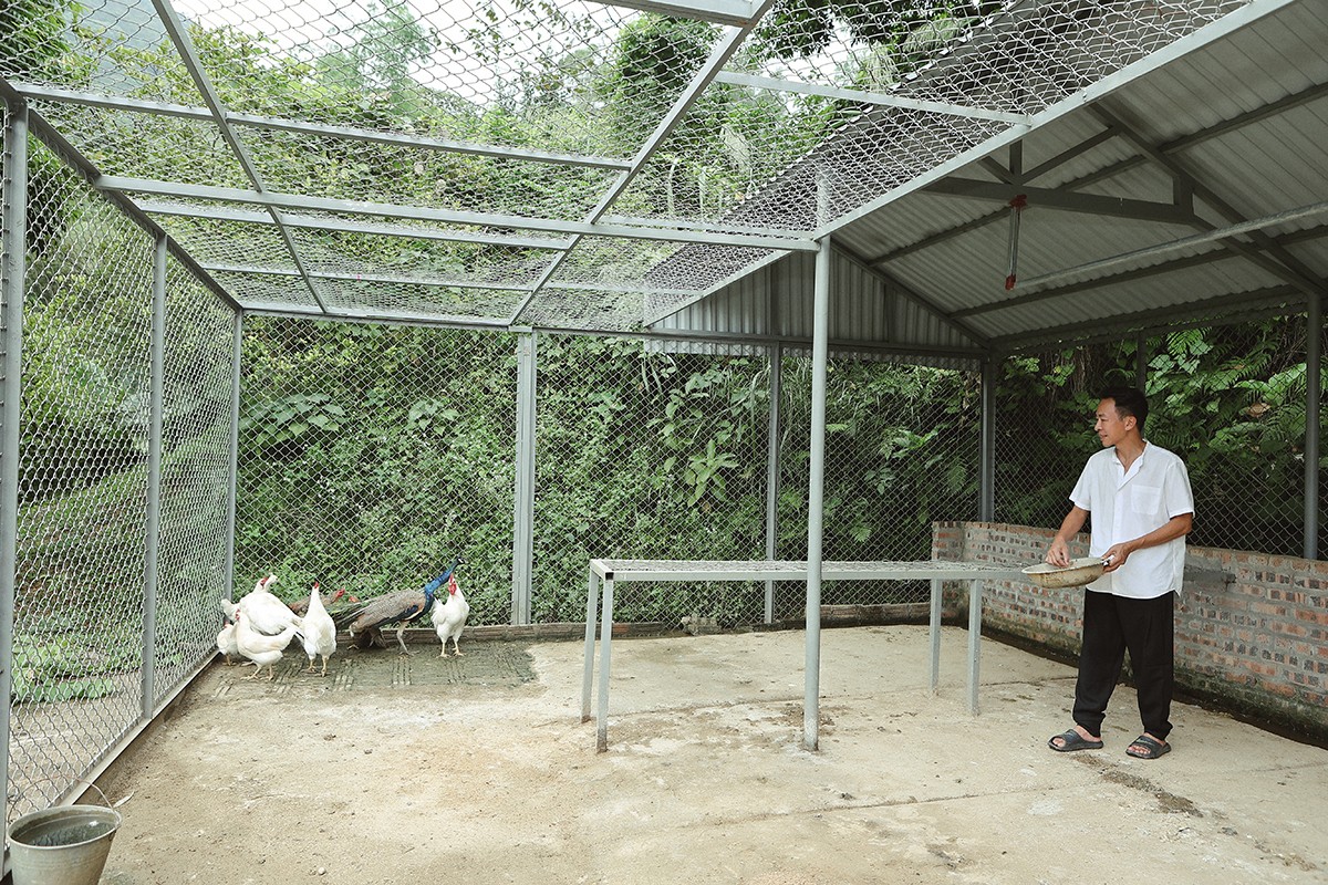 Việt Hoàn mua mảnh đất 12.000 m2 ở một huyện ngoại thành Hà Nội cách đây ba năm. Từ một đồi trọc, anh cải tạo thành nhà vườn phủ kín màu xanh của hàng trăm loại cây. Nam ca sĩ nói anh giờ có cuộc sống của một người nông dân thực thụ khi ngày ngày chăm cây, nuôi gà. Gia đình anh gần như không phải mua rau vì trong vườn luôn đủ các loại rau, củ theo mùa