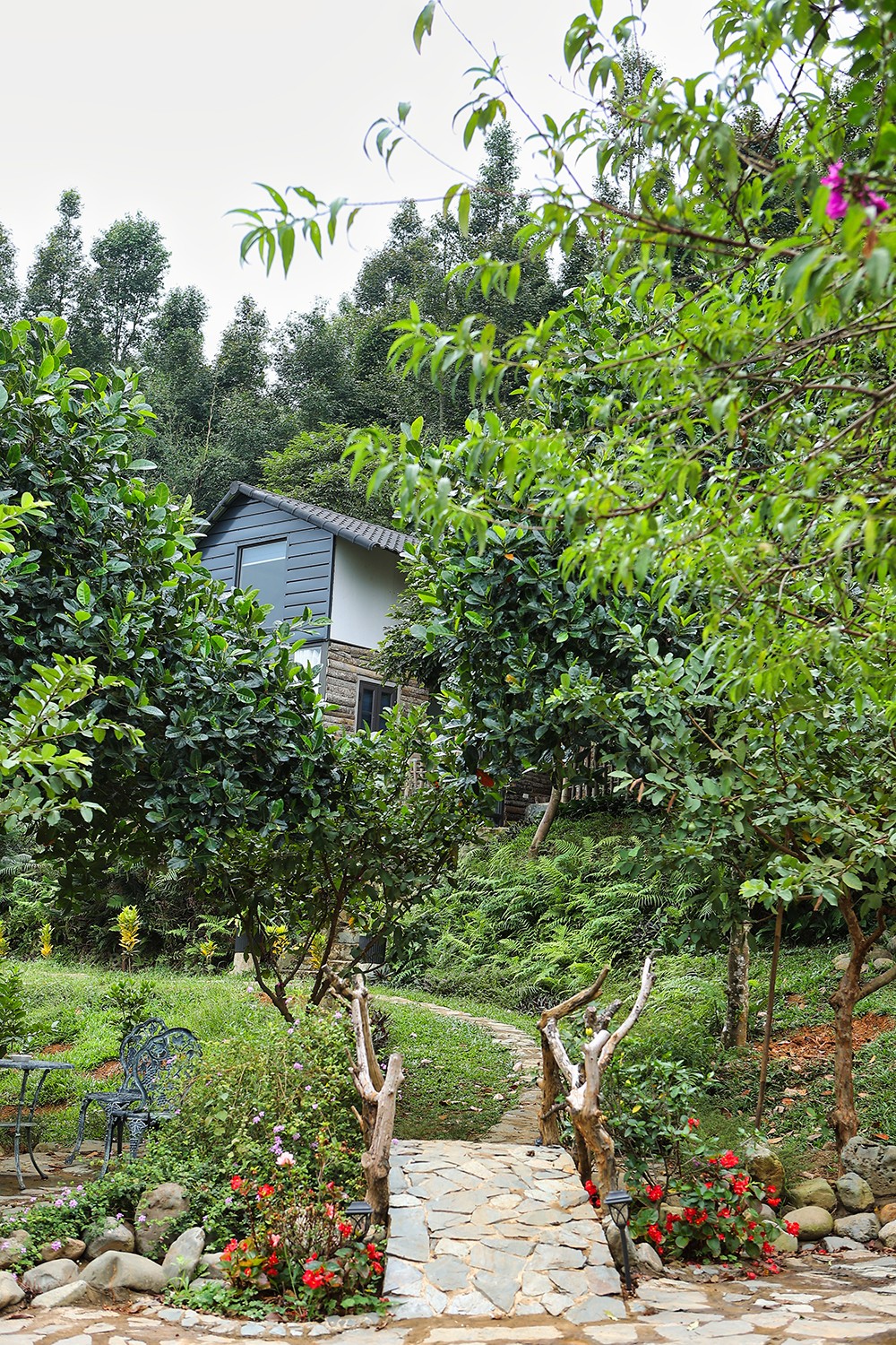 Lối vào từng khu nhà đều được chăm chút với những tiểu cảnh đẹp mắt. Nam ca sĩ cho biết mảnh đất trước khi cải tạo chỉ có vài cây lâu năm. Để phủ xanh diện tích này, anh mua hàng trăm loại cây gồm đào, ổi, mít, bưởi, sim, hoa phù dung... về trồng