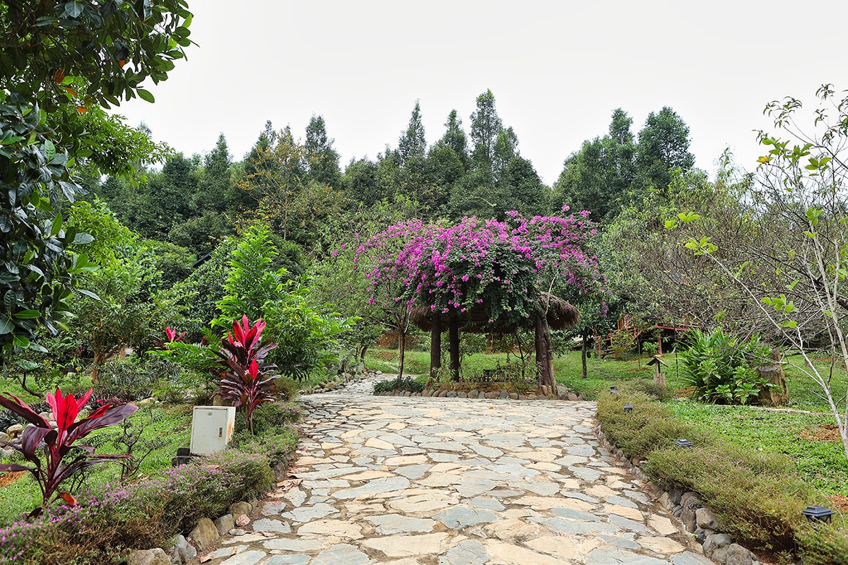 Đêm nhạc \'Đồi gió hát\' đầu tiên của Việt Hoàn dự kiến diễn ra trong tháng 12, dùng rừng sao đen cạnh nhà anh làm phông nền sân khấu với sự tham gia của ca sĩ Thanh Lam, Lê Việt Anh và Phạm Thu Hường. Anh rất vui mừng vì ý tưởng của mình được nhiều bạn bè, khán giả ủng hộ. Tuy chưa truyền thông nhưng toàn bộ vé của đêm nhạc đã được bán hết