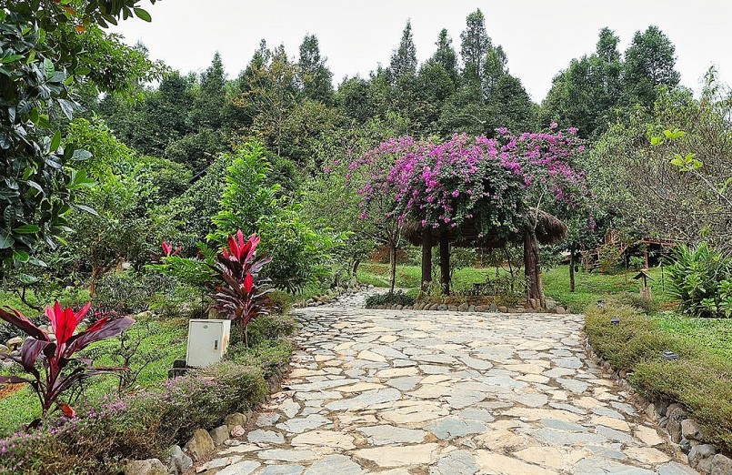 Anh đang ấp ủ kế hoạch thực hiện chuỗi chương trình mang tên \'Đồi gió hát\' 