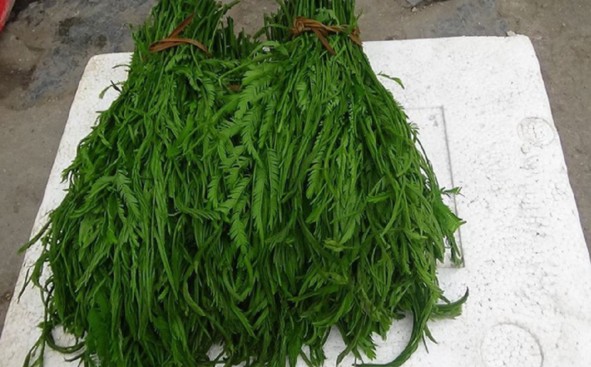 Loại rau thối bốc mùi khó chịu, nay thành đặc sản giá đắt vẫn luôn cháy hàng