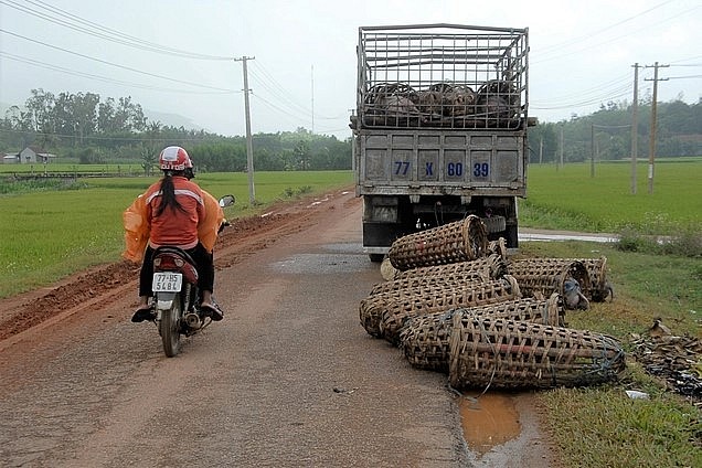 Trong thời gian tới Bình Định thêm thắt chặt chuỗi liên kết sản xuất, tiêu thụ heo thịt giữa tỉnh Bình Định và thành phố Đà Nẵng. Trong thời gian tới Bình Định thêm thắt chặt chuỗi liên kết sản xuất, tiêu thụ heo thịt giữa tỉnh Bình Định và thành phố Đà Nẵng.