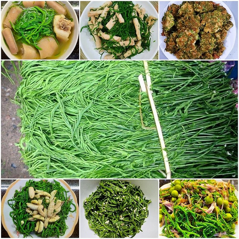 Loại rau thối bốc mùi khó chịu, nay thành đặc sản giá đắt vẫn luôn cháy hàng