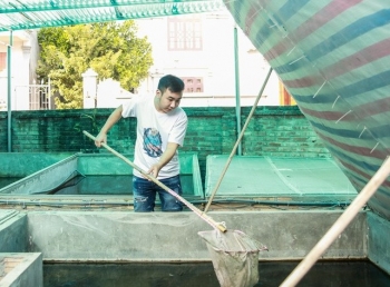 Vay tiền, thuê đất nuôi côn trùng, chàng trai Hà thành thu lãi nửa tỷ đồng/năm