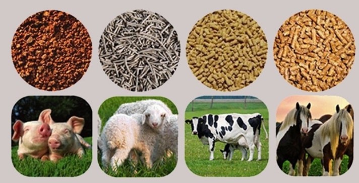 Việt Nam đã chi gần 4,51 tỷ USD nhập khẩu thức ăn gia súc và nguyên liệu