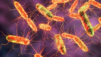 Xác định tác nhân khiến học sinh tại trường iSchool Nha Trang ngộ độc hàng loạt