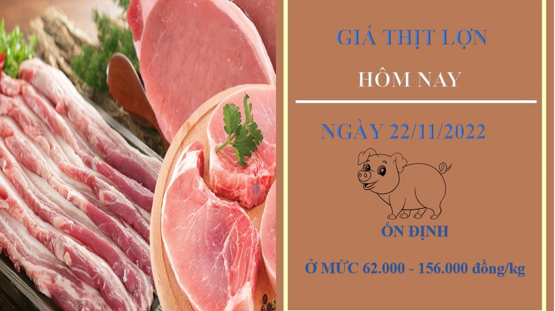 Giá thịt heo hôm nay 22/11/2022: Ổn định tại Công ty Thực phẩm bán lẻ