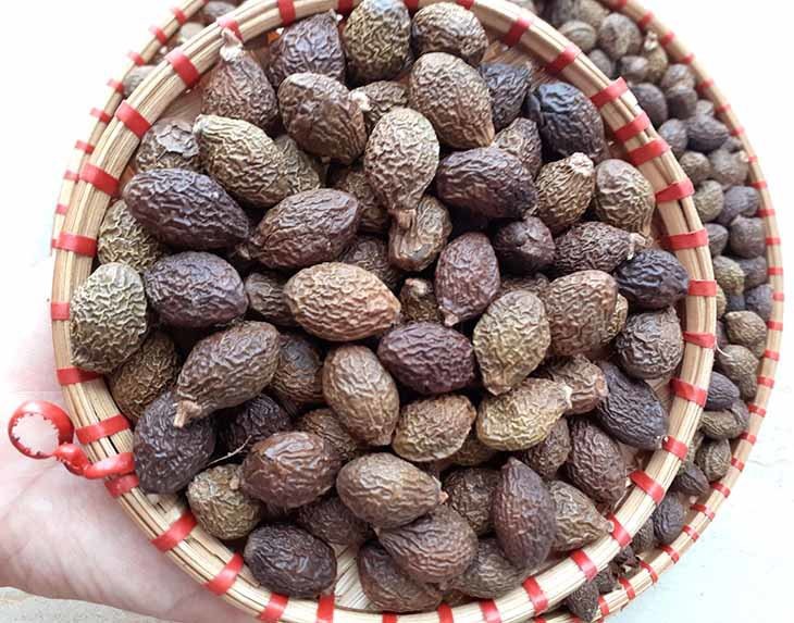 Quả ươi bay khô có màu nâu sần sùi Quả ươi bay khô có màu nâu sần sùi