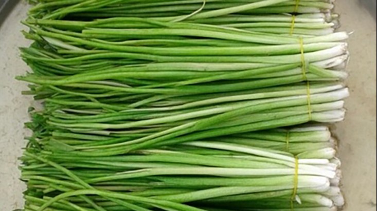 Loại rau không trồng cũng mọc sum suê, dân nhổ bán kiếm 600.000 đồng/ngày