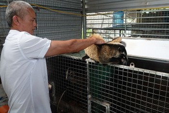 Bỏ nghề buôn, lão nông nuôi con “được săn lùng ráo riết”, nuôi 3 tháng bán 6 triệu đồng/con