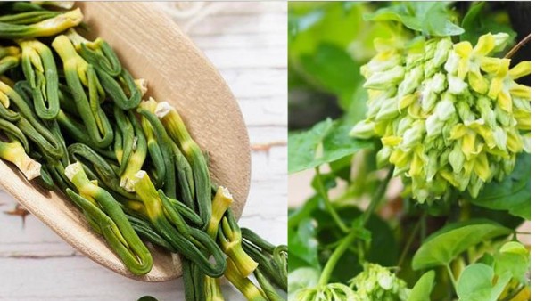 Nếu mất ngủ, hãy thử 4 loại cây “rẻ tiền” này