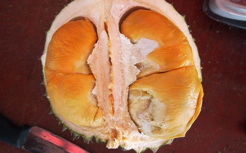 Sầu riêng Black Thorn có màu vàng tươi và màu cam hồng