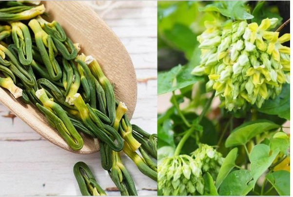 Nếu mất ngủ, hãy thử 4 loại cây “rẻ tiền” này