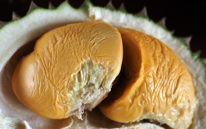 Cách trồng sầu riêng Black Thorn, loại sầu đắt hơn cả Musang King, giá 2 triệu đồng/kg