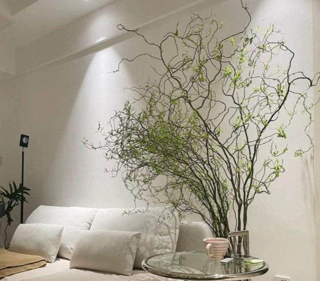 Cành lá uốn lượn, mềm mại, rất dễ cắm, tạo cho không gian căn nhà trở nên tươi mới hơn