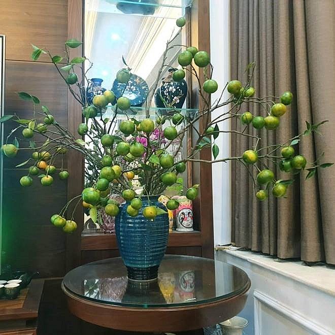 Thú chơi quả dần trở nên phổ biến bên cạnh các loại hoa tươi