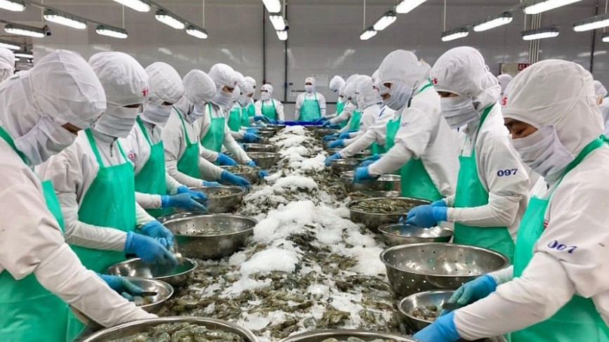 Ngành thủy sản đối mặt nhiều thách thức