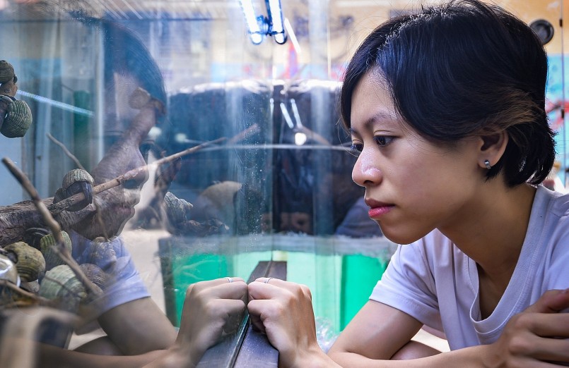 Để duy trì đam mê, Phượng vừa nuôi vừa bán cho những người có cùng sở thích. Giá của mỗi con dao động từ 6.000 đến 500.000 đồng tùy kích thước và độ hiếm.