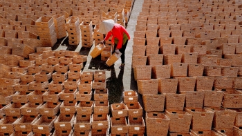 Tác phẩm "Sản phẩm từ cây Lục Bình"