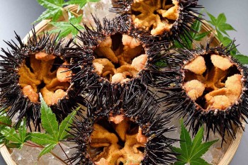 Kỳ lạ loài trứng nhìn thấy ghê, ăn miễn chê, giá “siêu đắt đỏ” 24 triệu đồng/kg vẫn được săn lùng